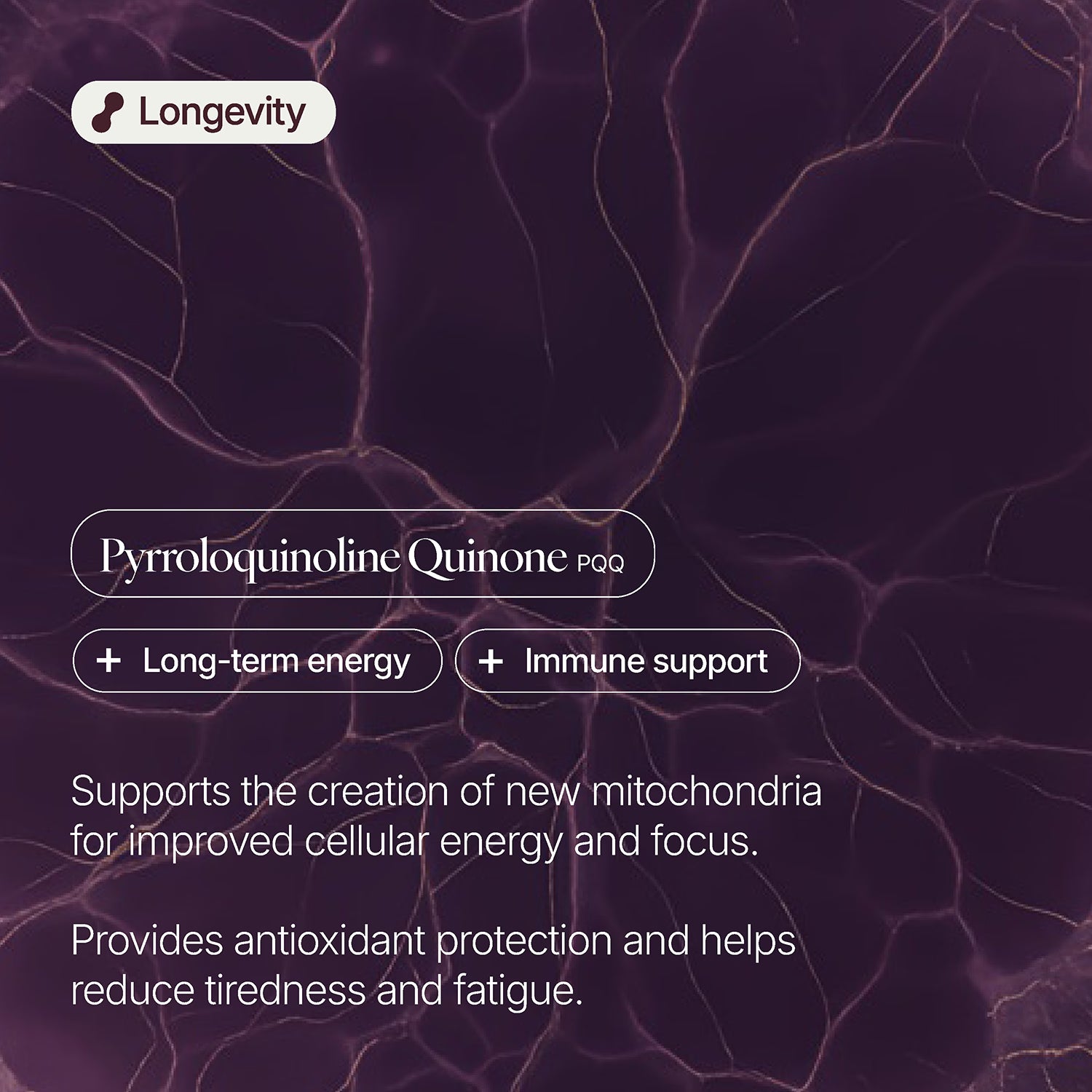 PQQ supplement 40mg 30 capsules - British product