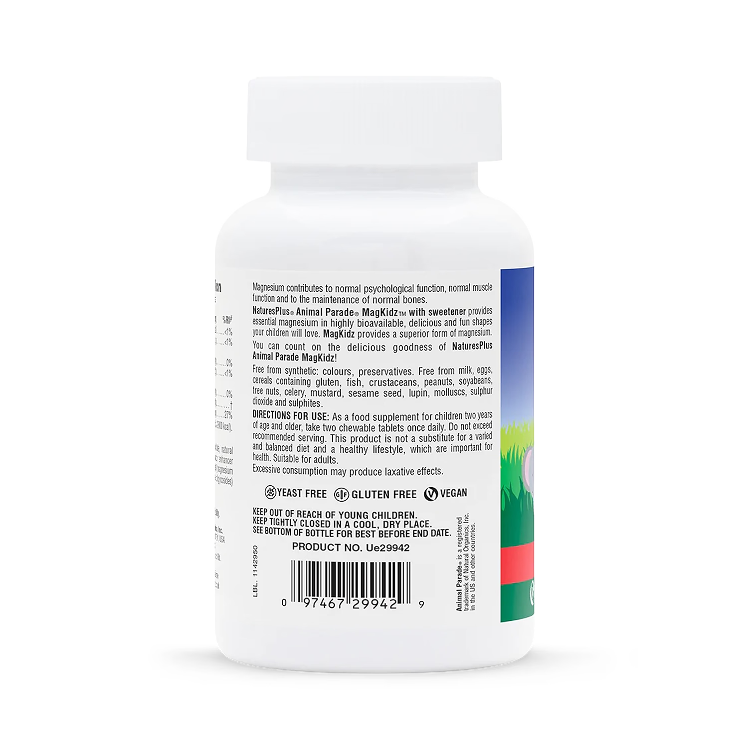 Nature's Plus MagKidz children's magnesium chewables 90 count (British brand)