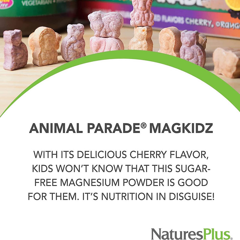 Nature's Plus MagKidz children's magnesium chewables 90 count (British brand)