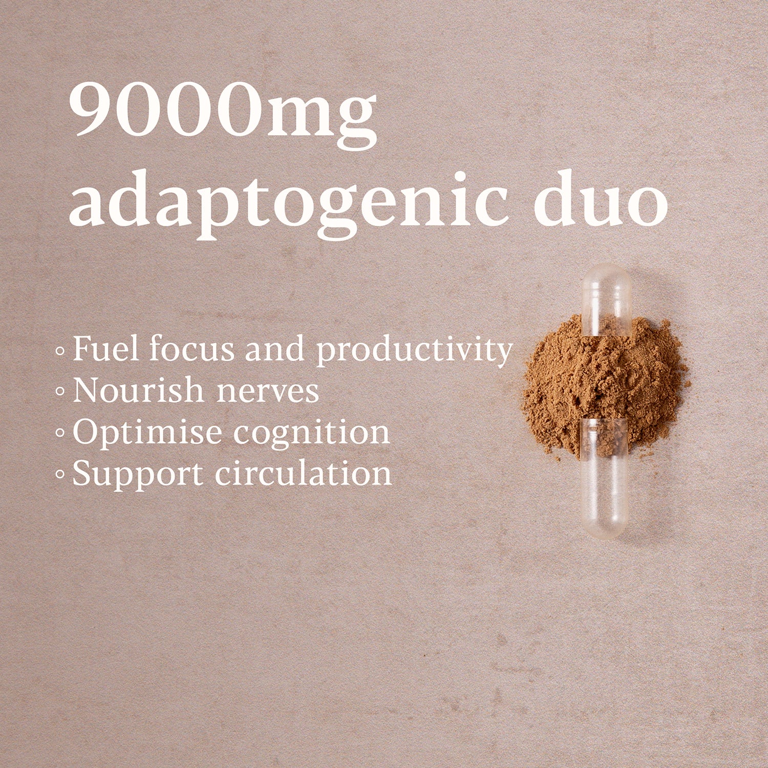 Lion's Mane Ginkgo nootropic blend 30 capsules, imported from the UK