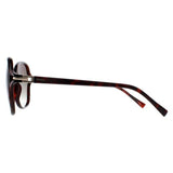 INVU B2114 brown polarized sunglasses for women, imported from the UK
