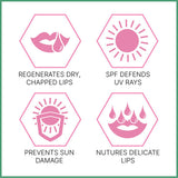 Sebamed Lip Defence Balm SPF 30 4.8g (British brand)