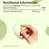 WeightWorld organic barley grass powder 240 capsules (British brand)