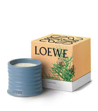 LOEWE small cypress balls scented candle 170g, UK version