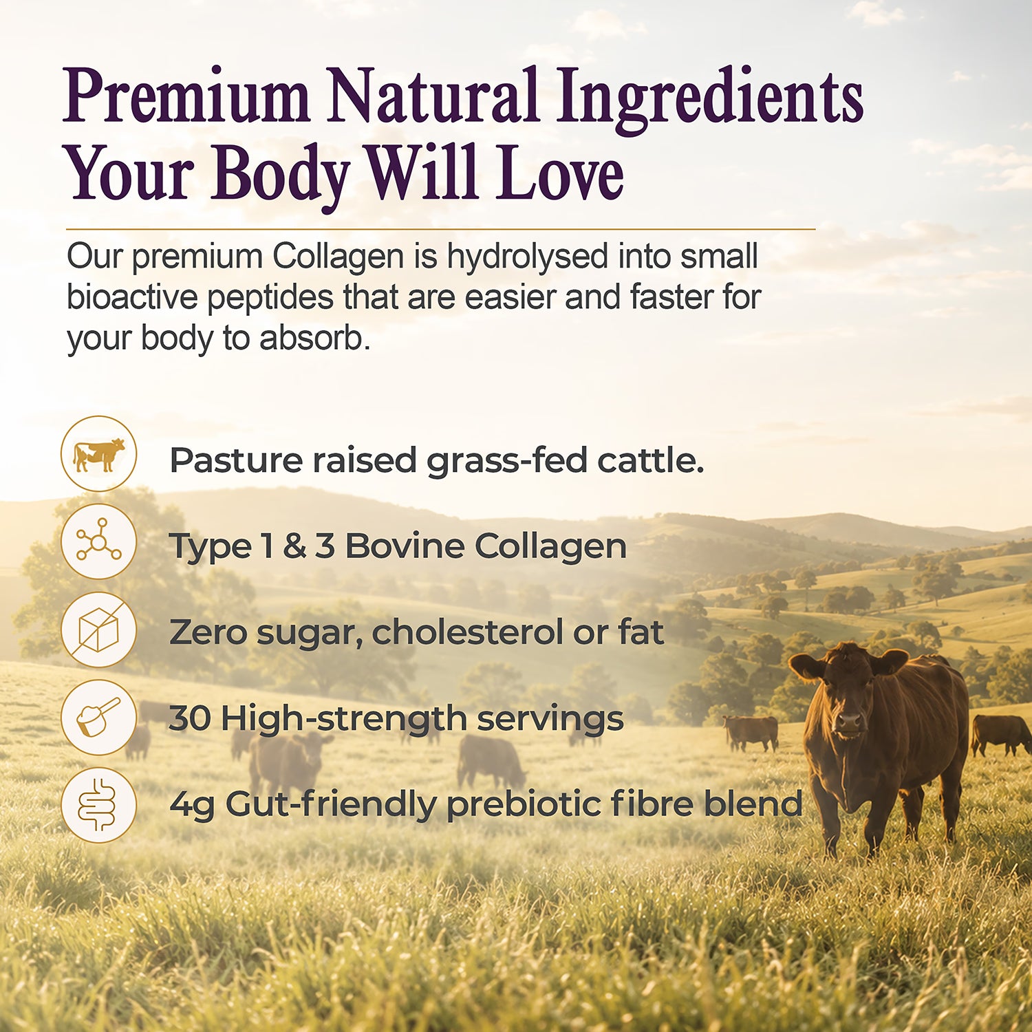 Inner Vitality Prebiotic Collagen Powder unflavoured 30 servings - British product