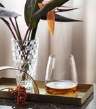 Villeroy & Boch crystal MetroChic tumblers set of 2 300ml (British brand)