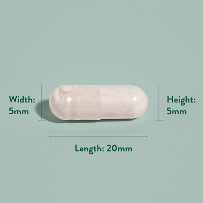 Holland Barrett Gentle Iron 20 mg 90 Kapsler