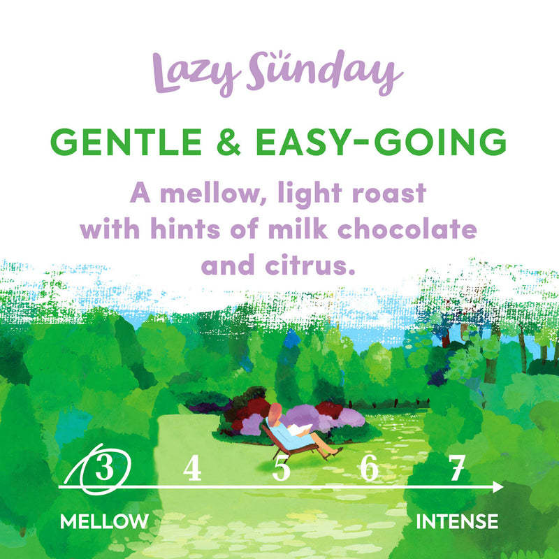 Taylors of Harrogate Lazy Sunday ground coffee 200g, UK version