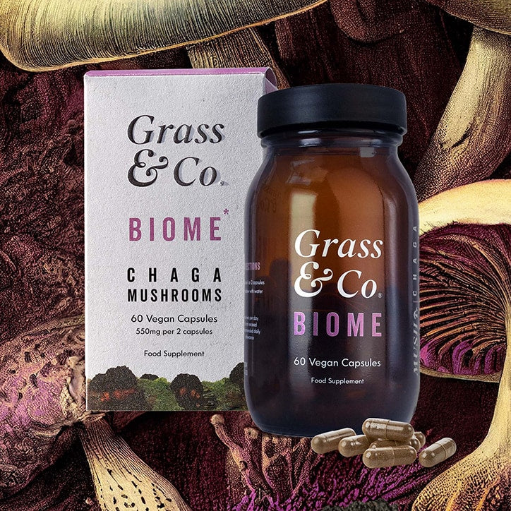 G&C BIOME Chaga 60 caps GOODS Holland&Barrett   