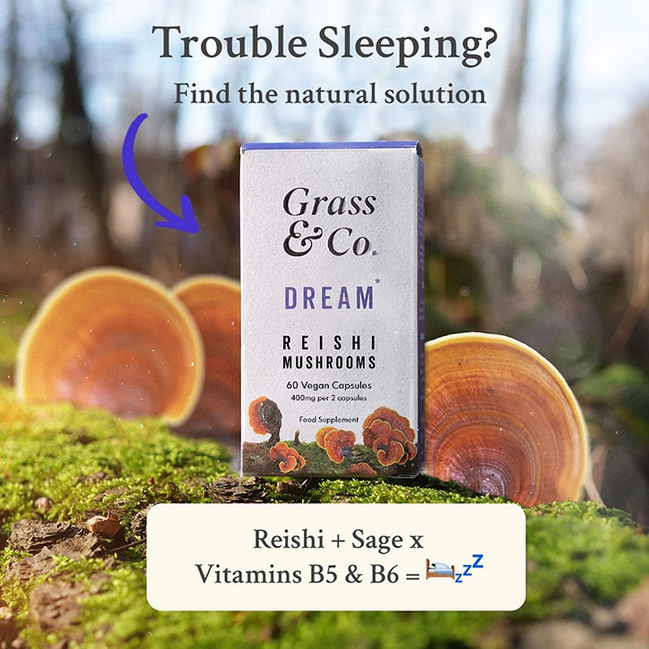 Grass & Co. DREAM Reishi Mushrooms with Magnesium + Sage, 60 Vegan Capsules GOODS Holland&Barrett