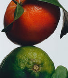 Jo Malone London Lime Basil & Mandarin reed diffuser, UK version