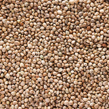 Holland & Barrett Roasted Hemp Seeds 200g GOODS Holland&Barrett