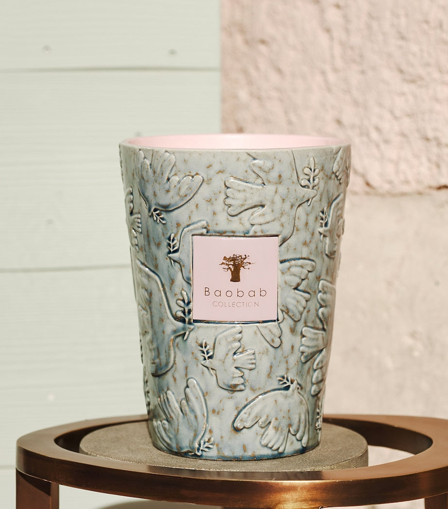 Baobab Collection Colombe scented candle 6kg, imported from the UK
