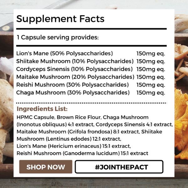 Nutripact multi mushroom complex 60 vegan capsules (British brand)