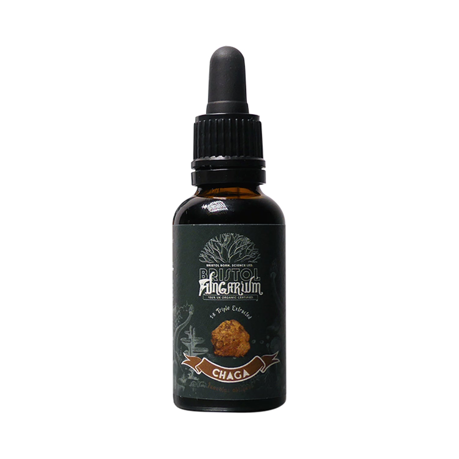 Bristol Fungarium Chaga Tincture Triple Extract 30ml - British product