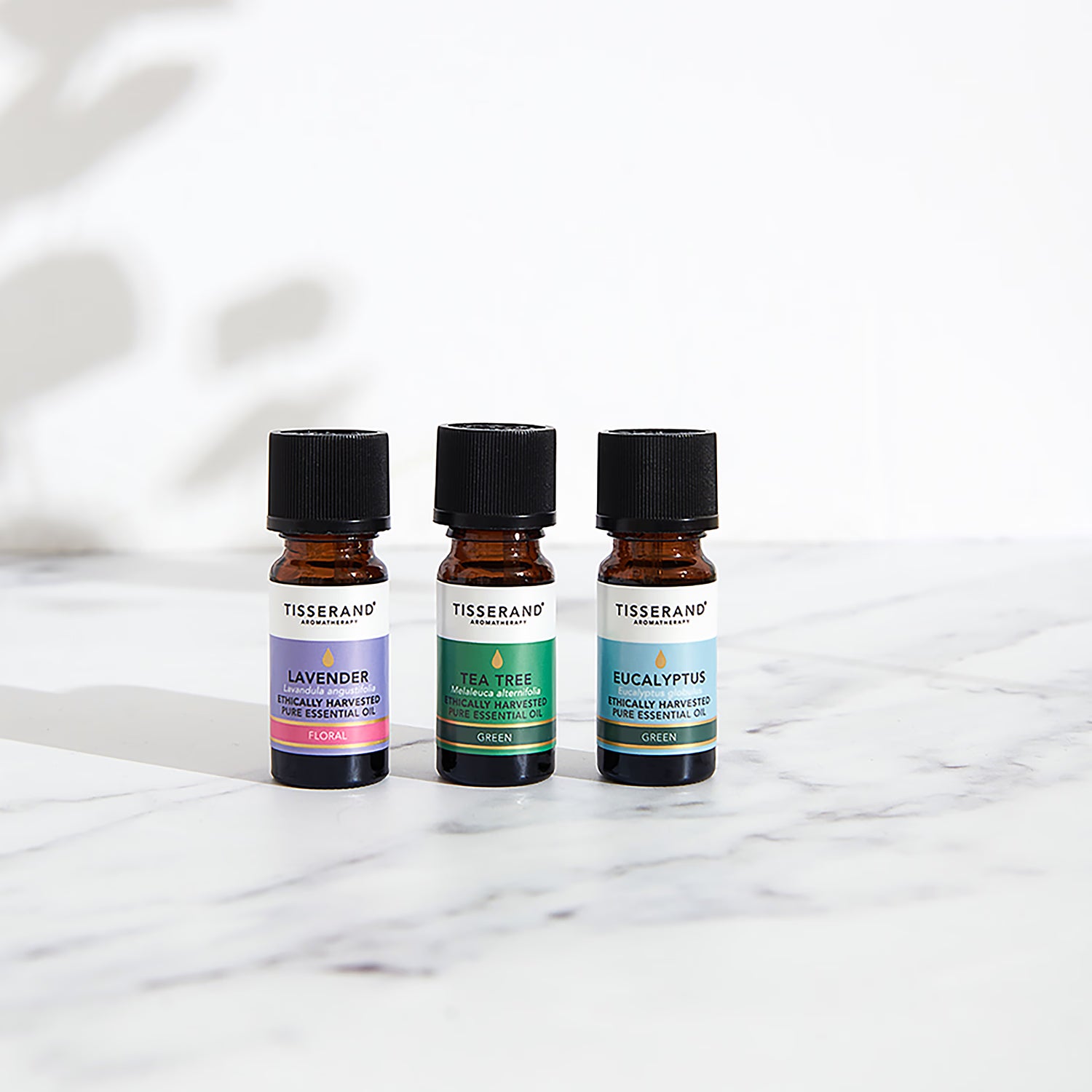 First Natural Brands essential oils set 9ml, UK version