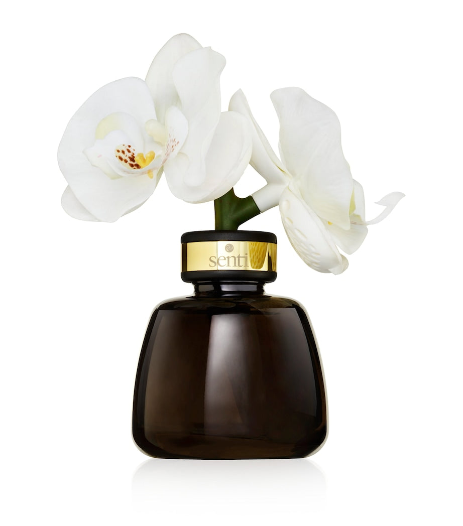 Senti Pepper & Spice The Little Orchid Diffuser 100ml (British brand)