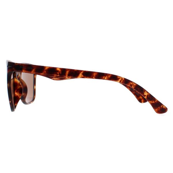 Police SPL357 Blackbird Light 2 brown men sunglasses, UK version