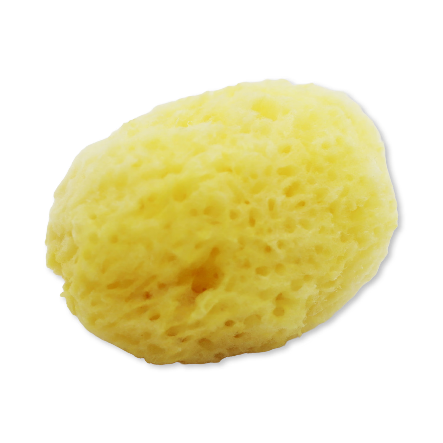 SpongeBox natural sea sponge 3-pack 2.5-3 inches, UK version