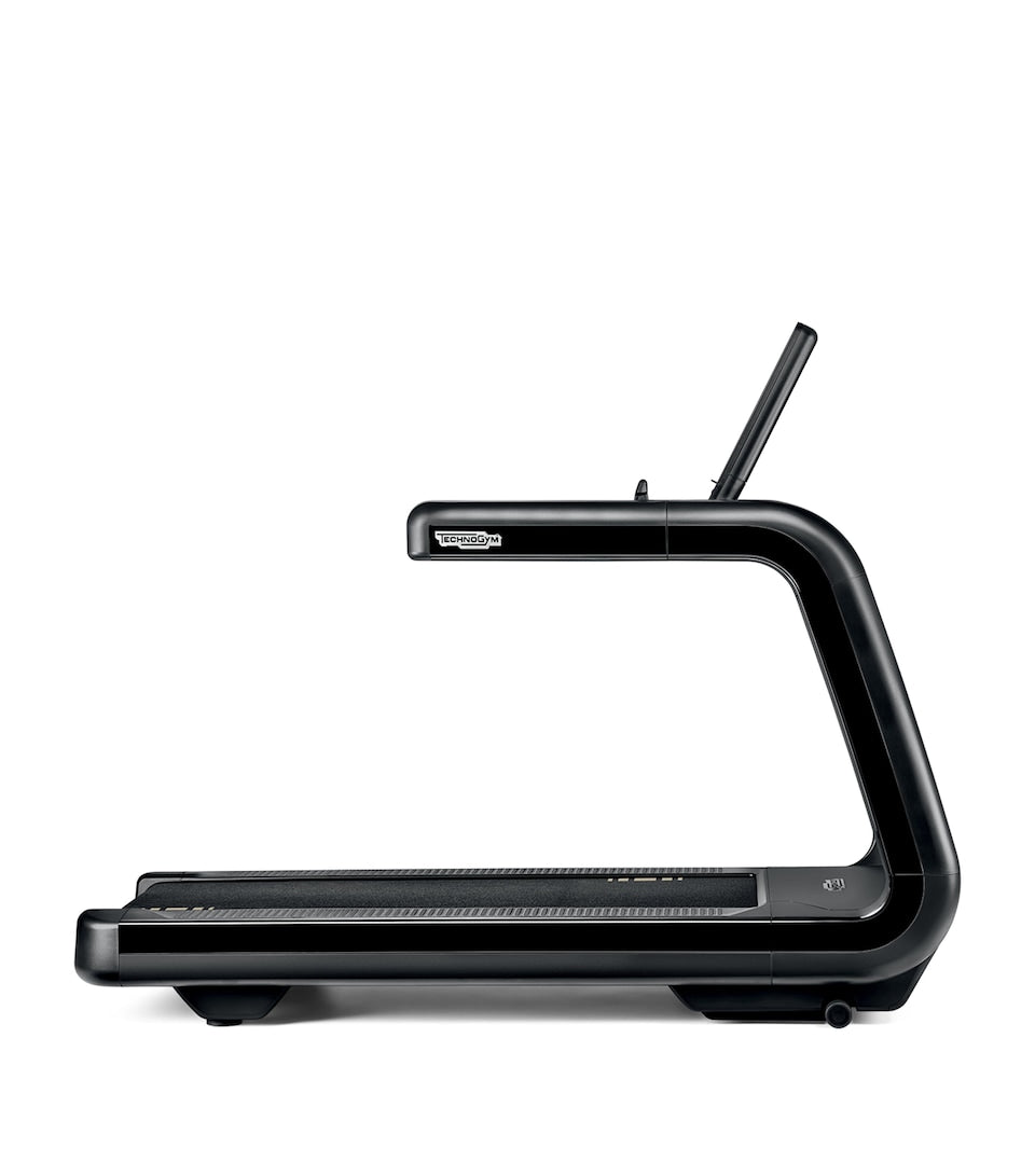 Multi-Purpose Strength Training Bench for Home Gym