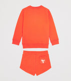 Stella McCartney kids cotton fleece daisy print tracksuit 2-14 years (British brand)