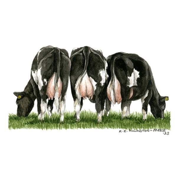 Kevin Milner Countryside Fresian Cow Card