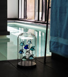 Lalique crystal fish sculpture, UK version