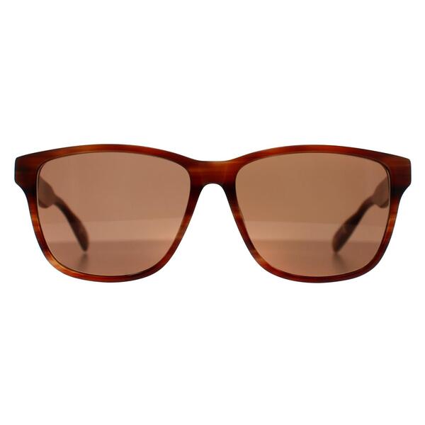 Ted Baker TB8232 brown horn men's sunglasses, UK version
