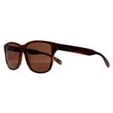 Ted Baker TB8232 brown horn men's sunglasses, UK version