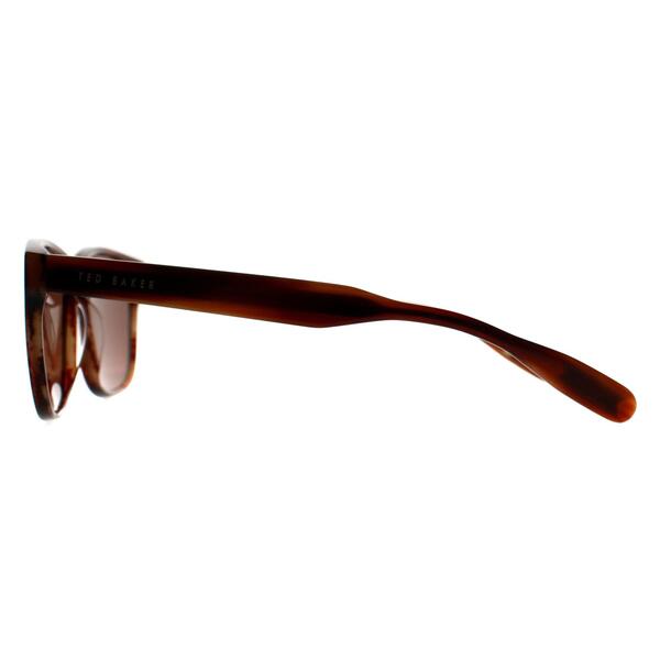 Ted Baker TB8232 brown horn men's sunglasses, UK version