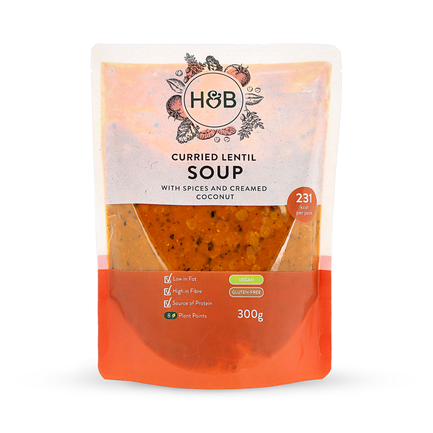 Holland & Barrett curried lentil soup 300g - British product