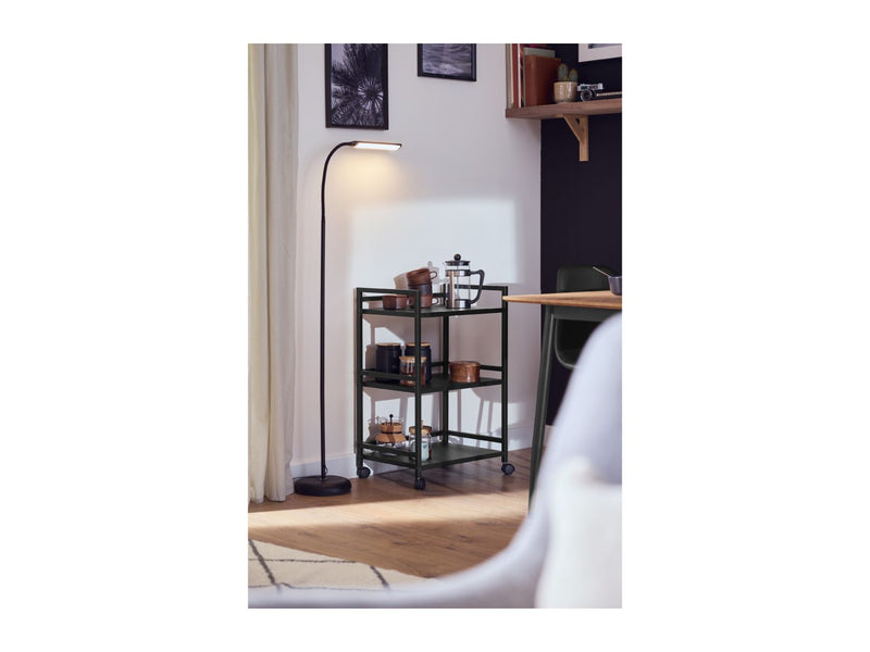 LED floor lamp with gooseneck and touch dimmer, imported from the UK