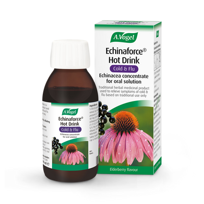Holland & Barrett A.Vogel Echinaforce Echinacea Hot Drink Elderberry Concentrate 100ml- Buy online at McGrocer