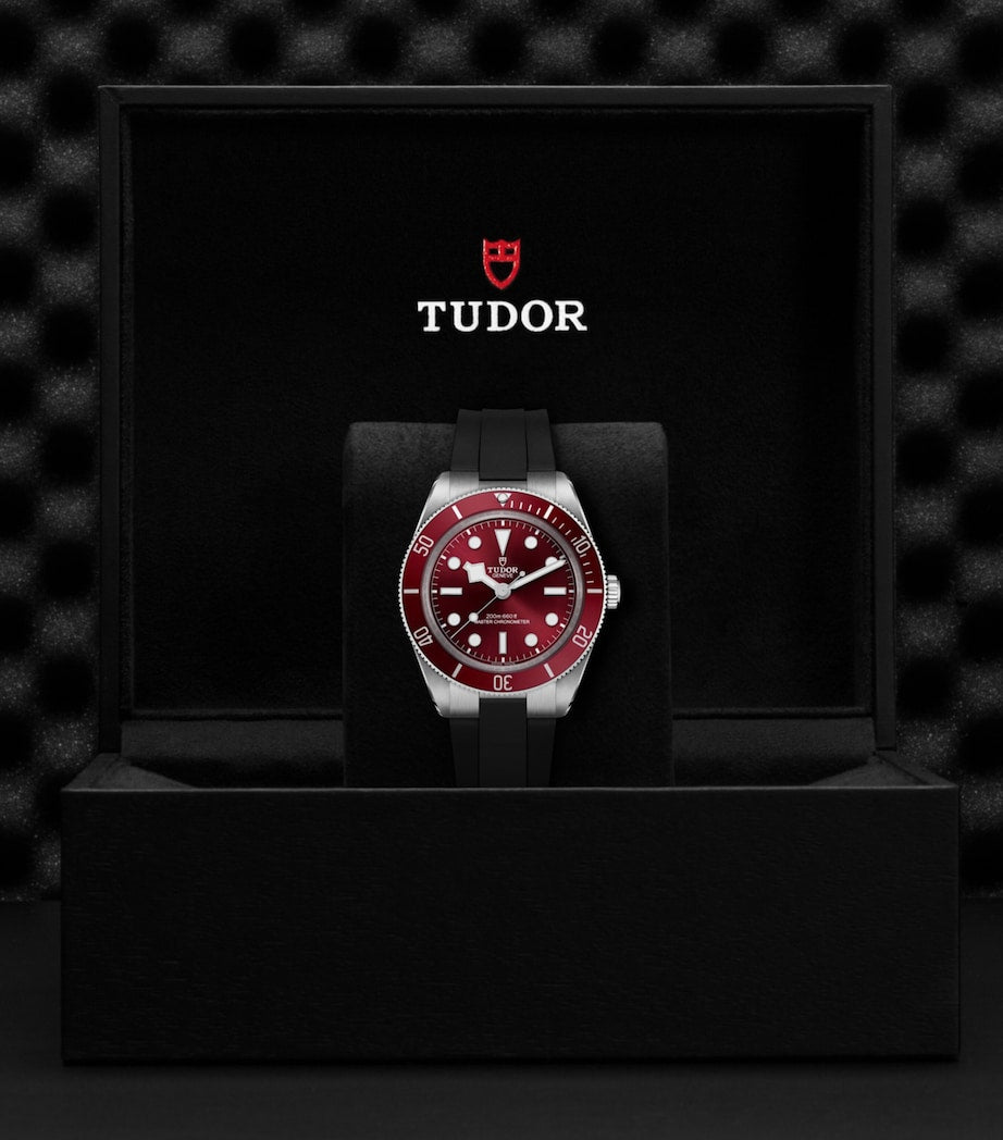 TUDOR Black Bay 58 diver's watch 39mm (British brand)