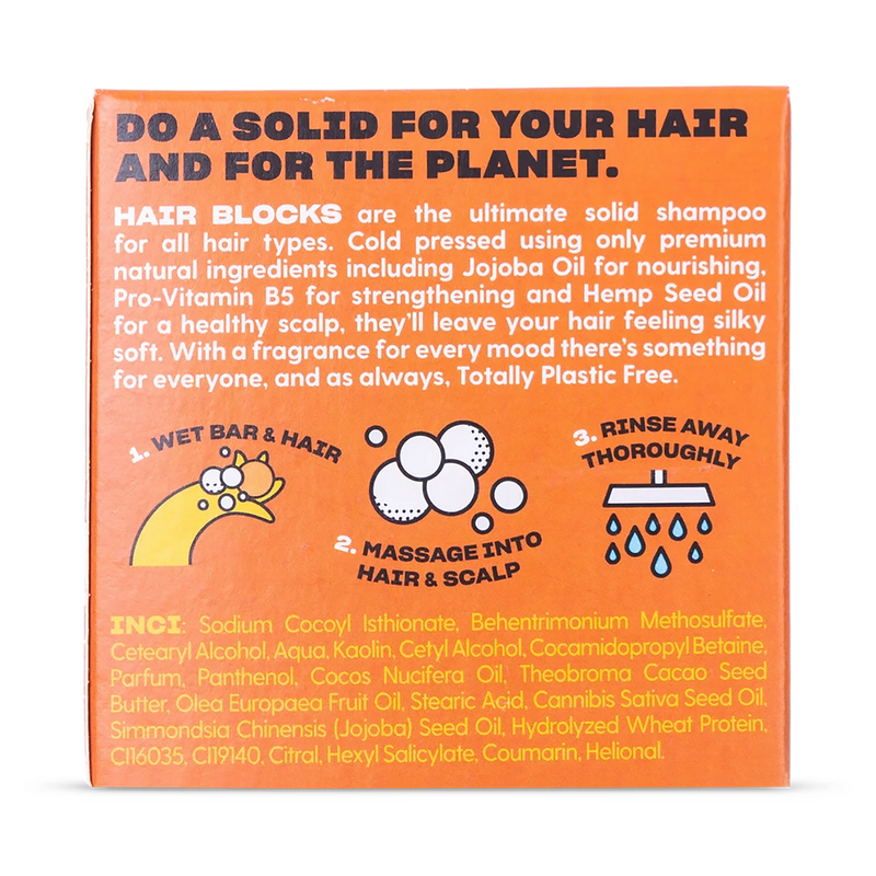 Hair Blocks solid shampoo bar Ginger & Agave Nectar (British brand)