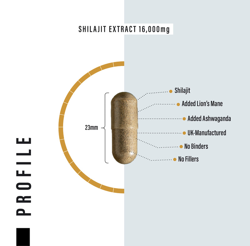 SS Sport Supplies Shilajit Complex 120 capsules, imported from the UK