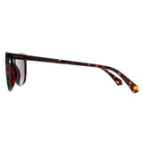 Polaroid brown polarized cat eye sunglasses for women, UK version