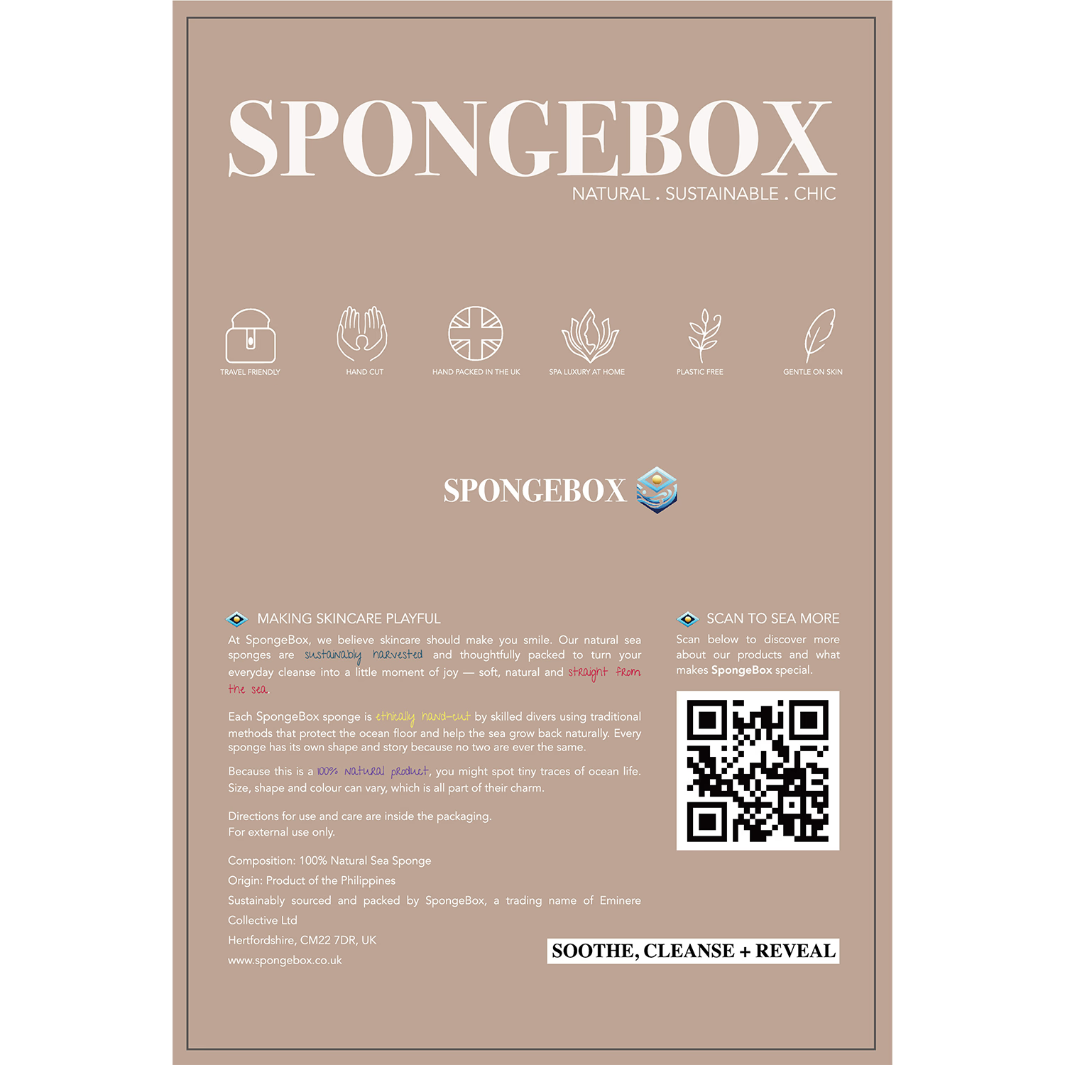 SpongeBox natural sea sponge 6-6.5 inches (British brand)