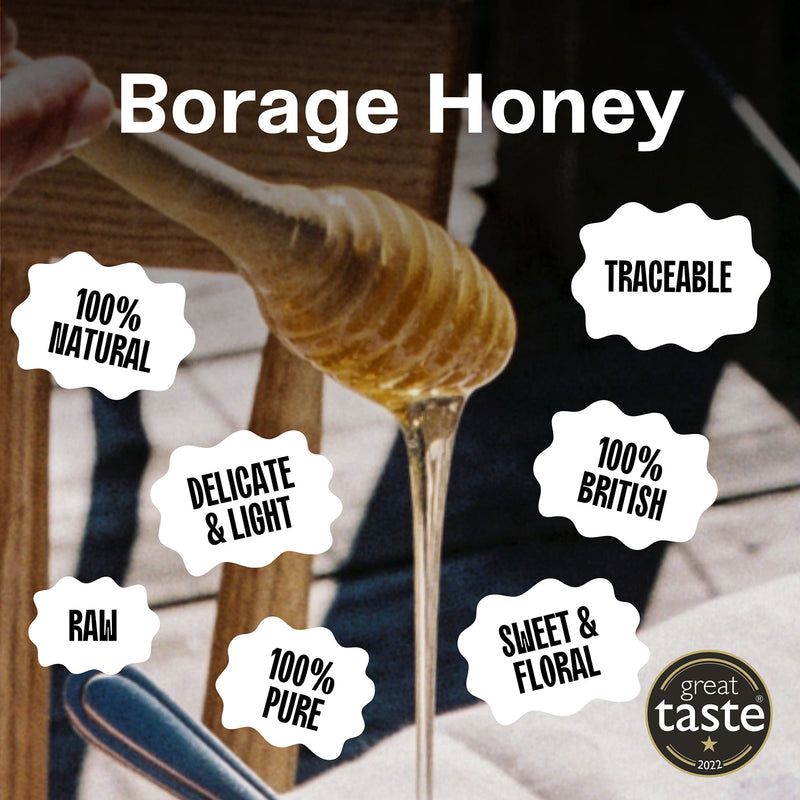 Black Bee Starflower honey 227g glass jar - British product