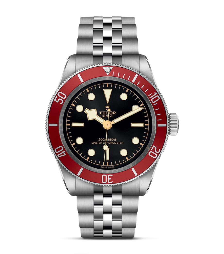 Tudor Black Bay stainless steel watch 41mm (British brand)