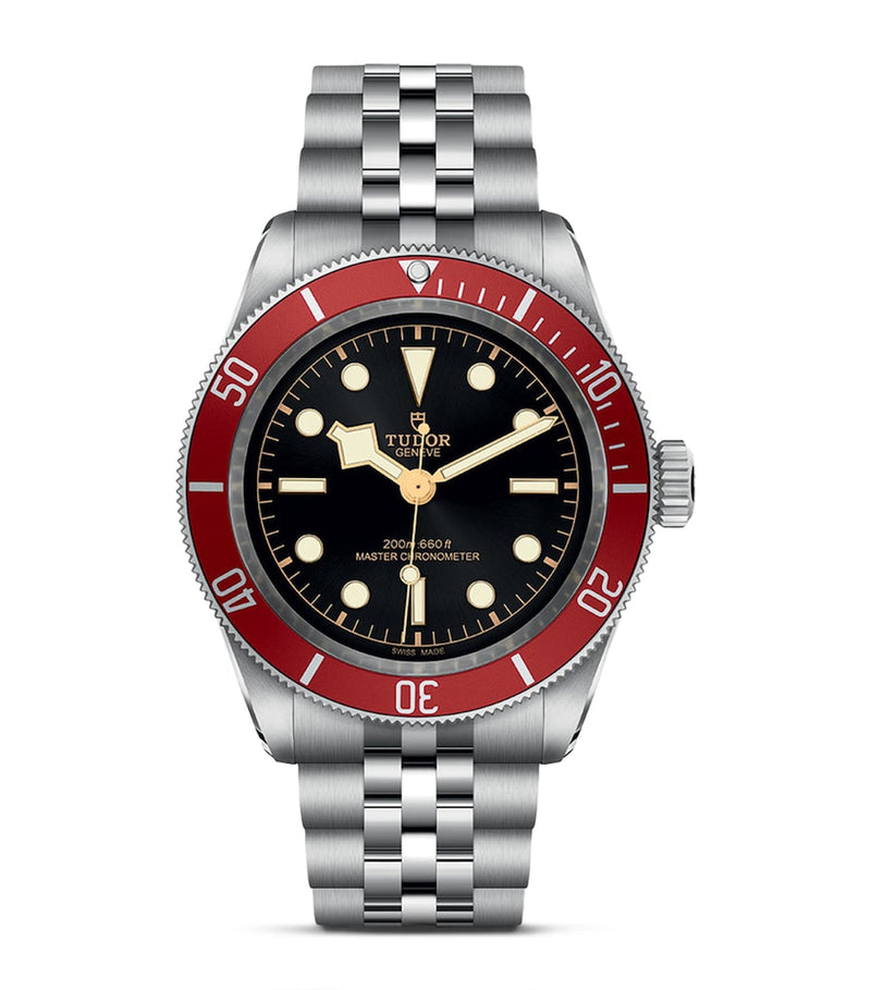 Tudor Black Bay stainless steel watch 41mm (British brand)
