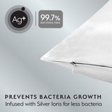 Silver Cloud pillowcase white twinpack (British brand)