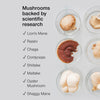 SuperSelf mushroom complex with ashwagandha KSM-66 60 capsules - British product
