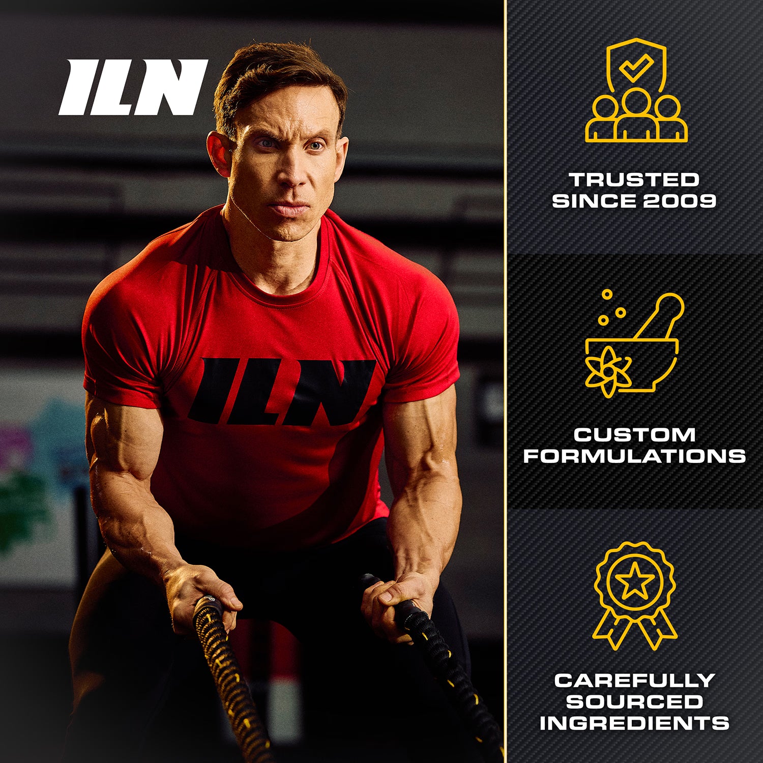 Iron Labs Acetyl L Carnitine supplement 240 capsules - British product