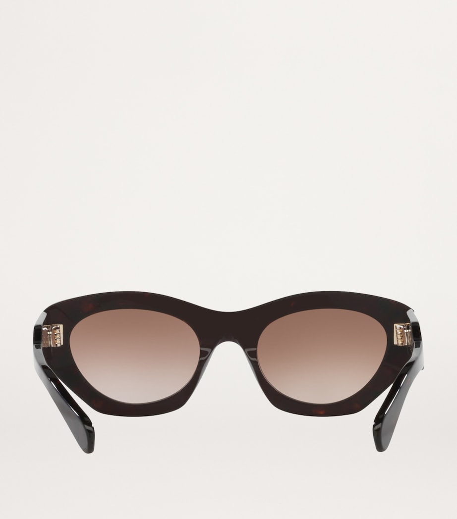 Chloé Acetate CH0220S Sunglasses - British product