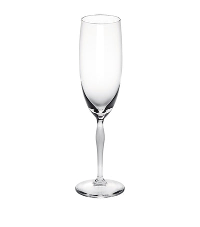 Harrods Glass Champagne Flute with Undulating Stem 230ml- Buy online at McGrocer