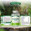 Nature's Truth high strength joint support supplement 60 tablets (British brand)