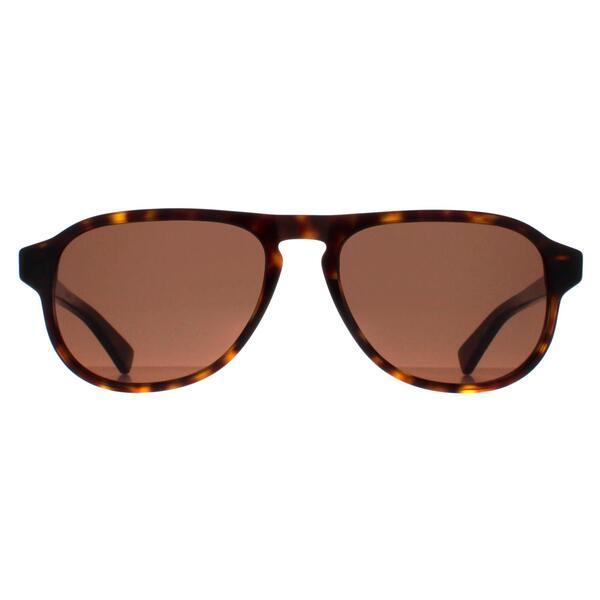 Bottega Veneta BV1292S Havana Brown unisex sunglasses, imported from the UK
