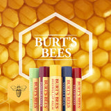 Burt's Bees 100% Natural Lip Balm Honey 4.25g Lip Balm Holland&Barrett   