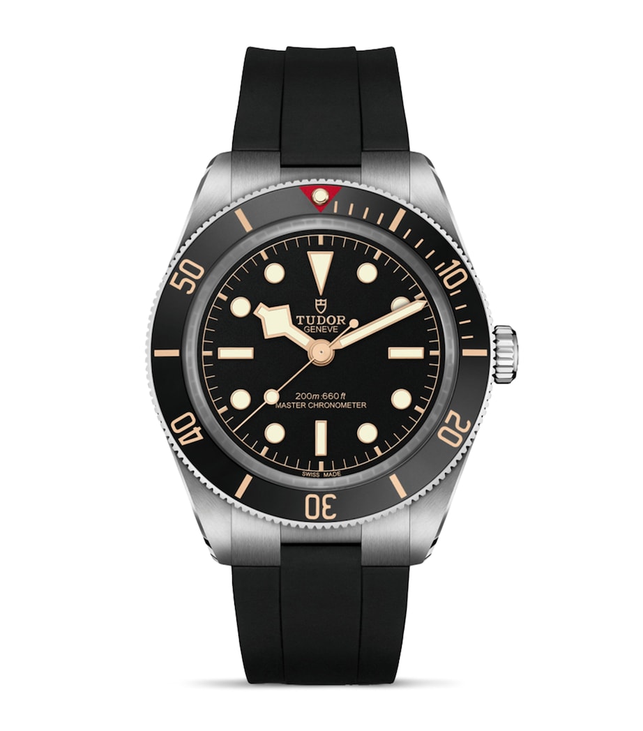 TUDOR Black Bay 58 GMT dive watch 39mm (British brand)